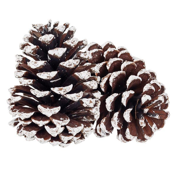 Kit Pinhas Decorativas de Natal 2 unidades