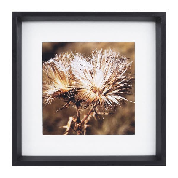 Quadro Natureza Preto com Vidro 30x30cm Arte Própria