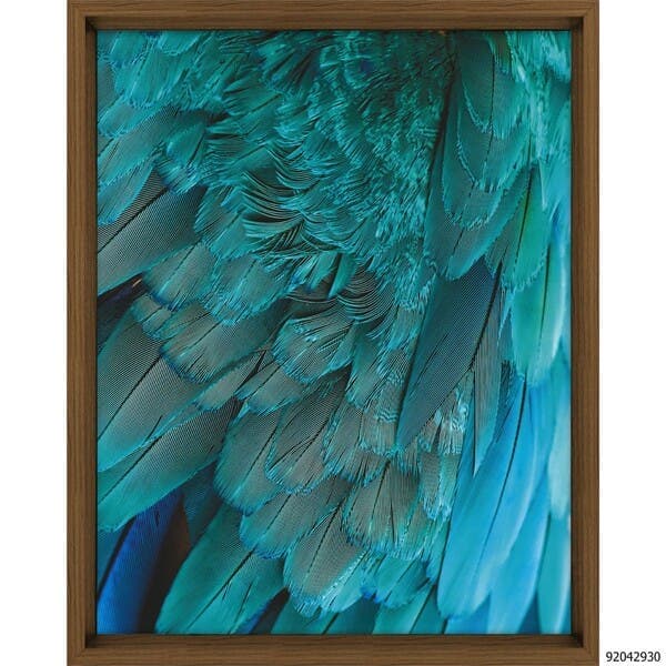 Quadro Penas Azul Azul com Vidro 40x50cm Tropical