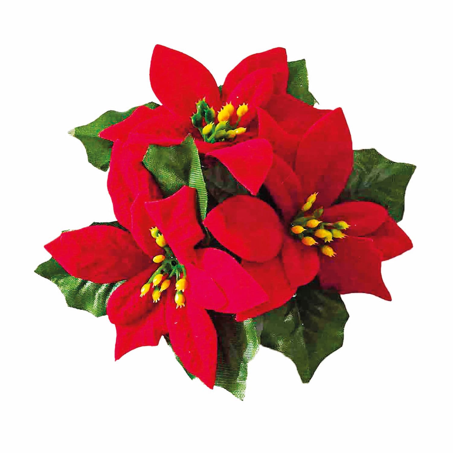 Porta Velas Bico de Papagaio 12cm - Magizi