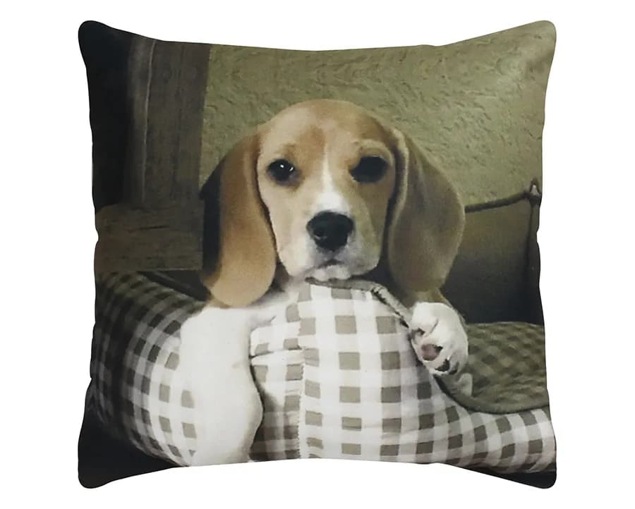 Almofada Decorativa Veludo Pet - Beagle