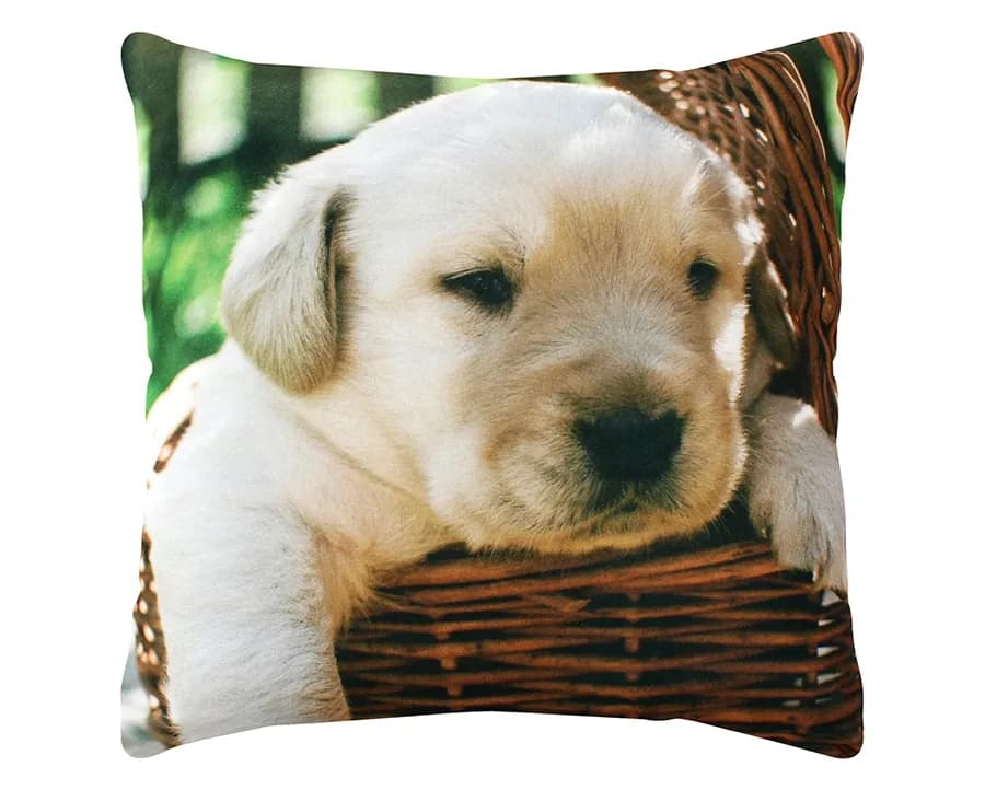 Almofada Decorativa Veludo Pet - Cachorro no Cesto