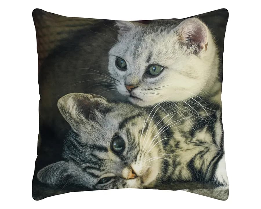 Almofada Decorativa Veludo Pet - Gato Duplo