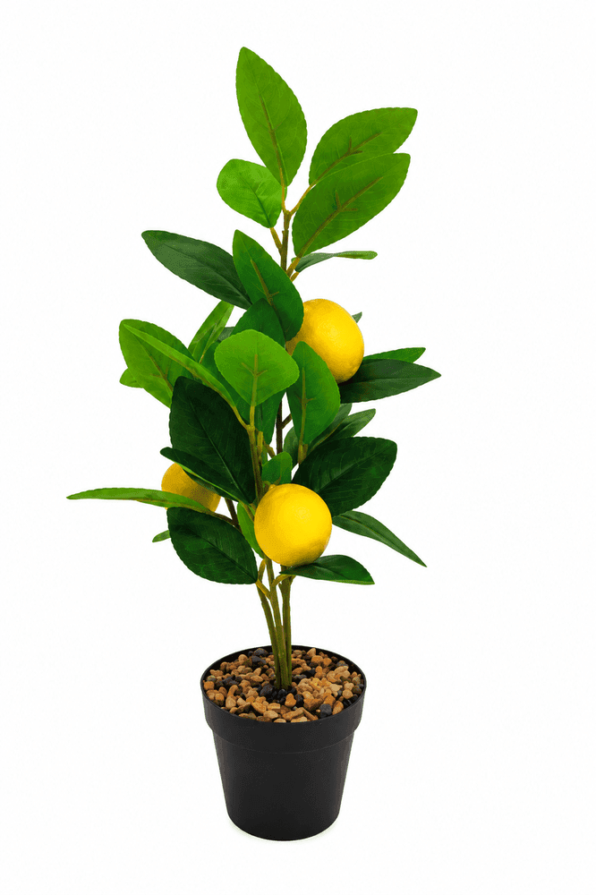 Arranjo Art Árvore Limão Tangerina 40cm - Tuut
