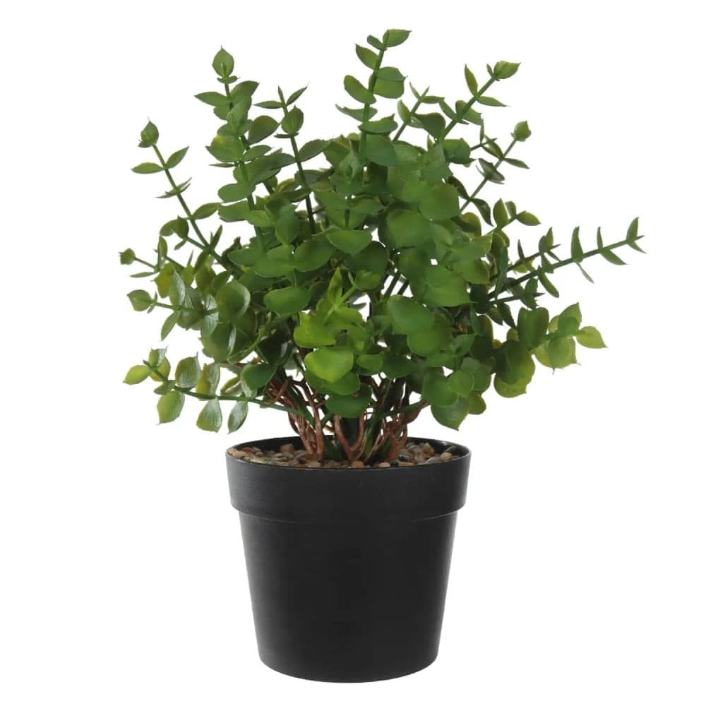 Arranjo Folhas Eucalipto com Vaso 25cm Verde - Florarte