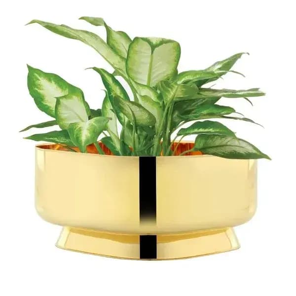 Cachepot Bellini com Revestimento em Ouro 24K Riva — Única