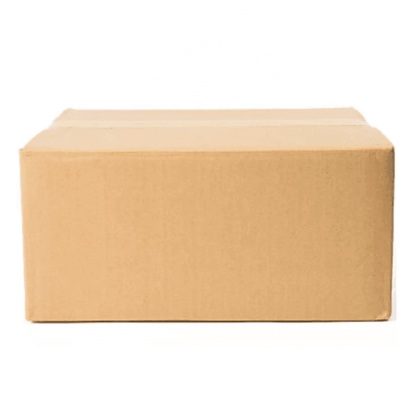 Caixa de Papelão Maleta 30x21x11cm Bege Target