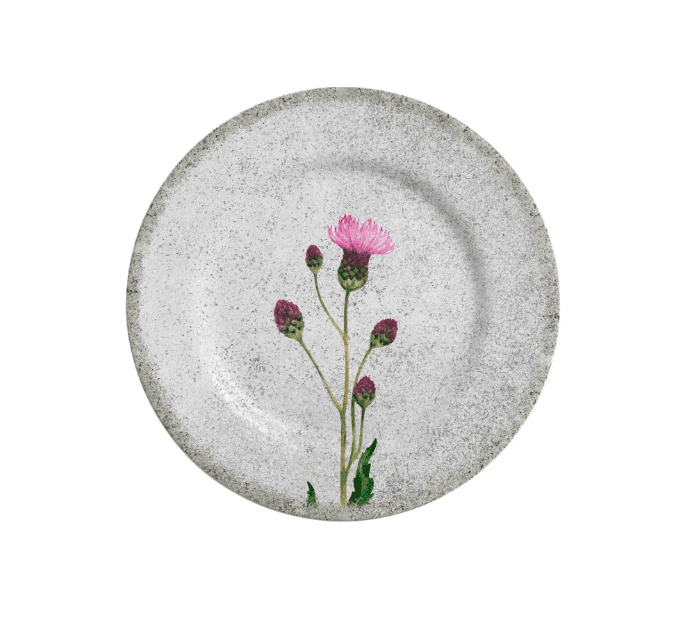 Conjunto 06 Pratos Sobremesa Cirsium Alleanza Cerâmica