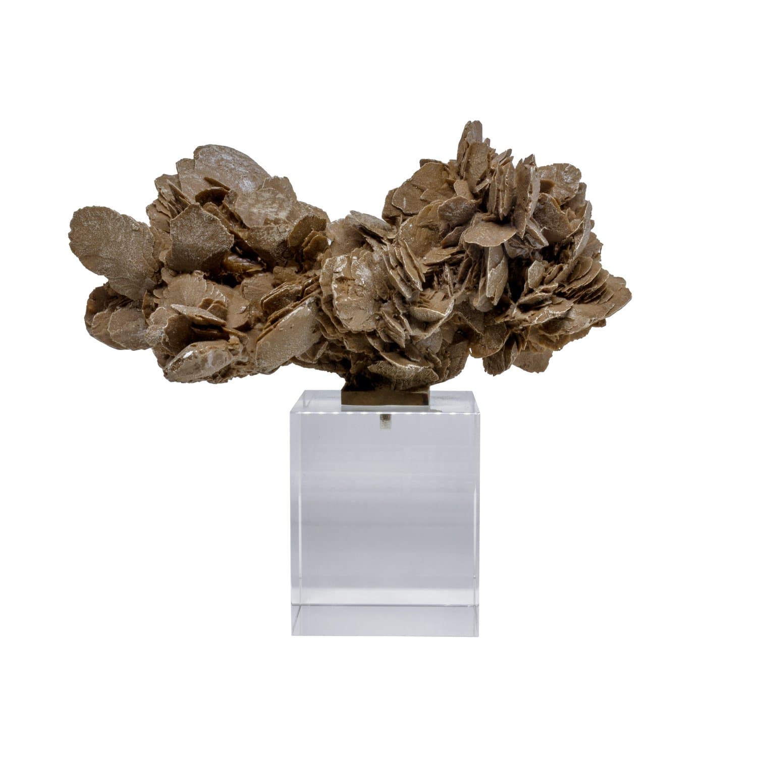 Escultura Rosa do Deserto em Resina City Imports