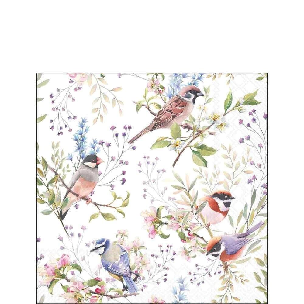 Guardanapo Busy Birds Fsc Mix (20folhas)