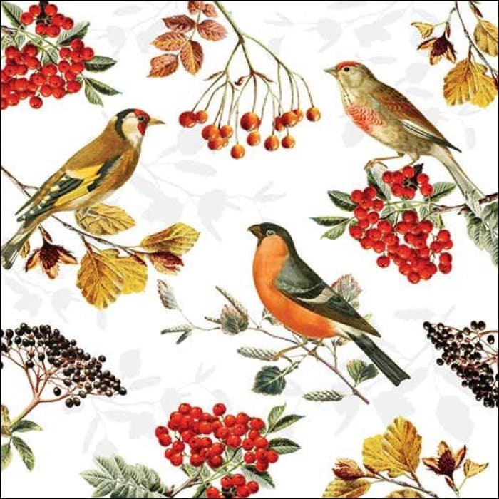 Guardanapo Papel 33x33 20 Folhas - Ambiente
