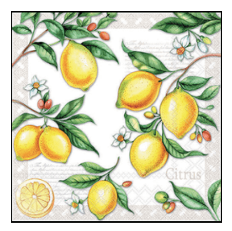 Guardanapo Papel Limao Citrus 33x33 20 Folhas - Ambiente