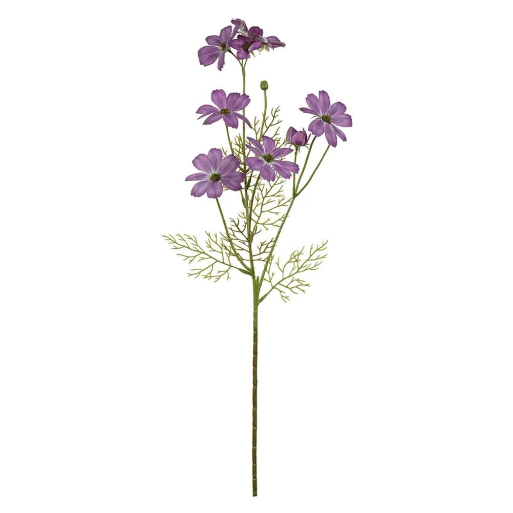 Haste Cosmos 66cm Púrpura - Florarte