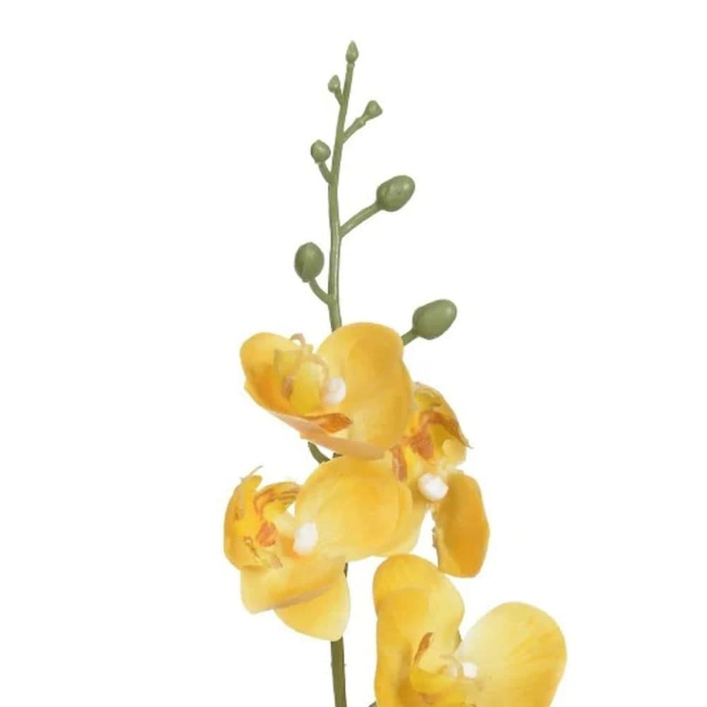 Haste Orquídea Phalaenopsis com Folha 29cm Amarelo - Florarte