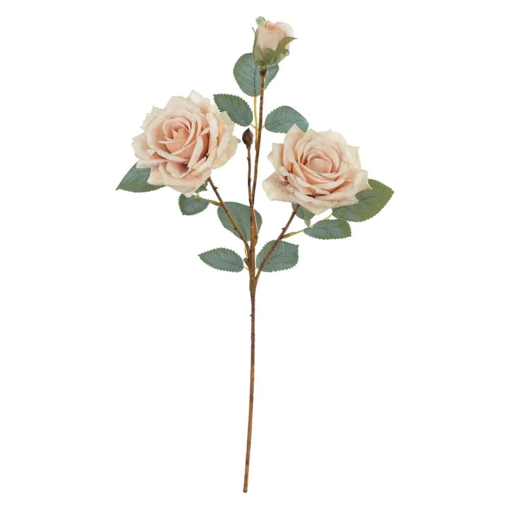 Haste Rosa 52cm Creme Outono - Florarte