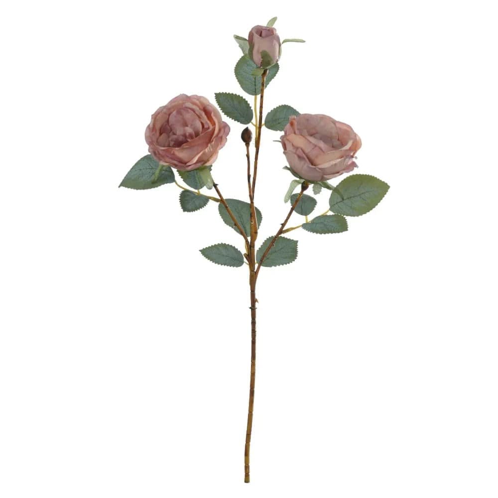 Haste Rosa Cabbage 52cm Rosa Outono - Florarte