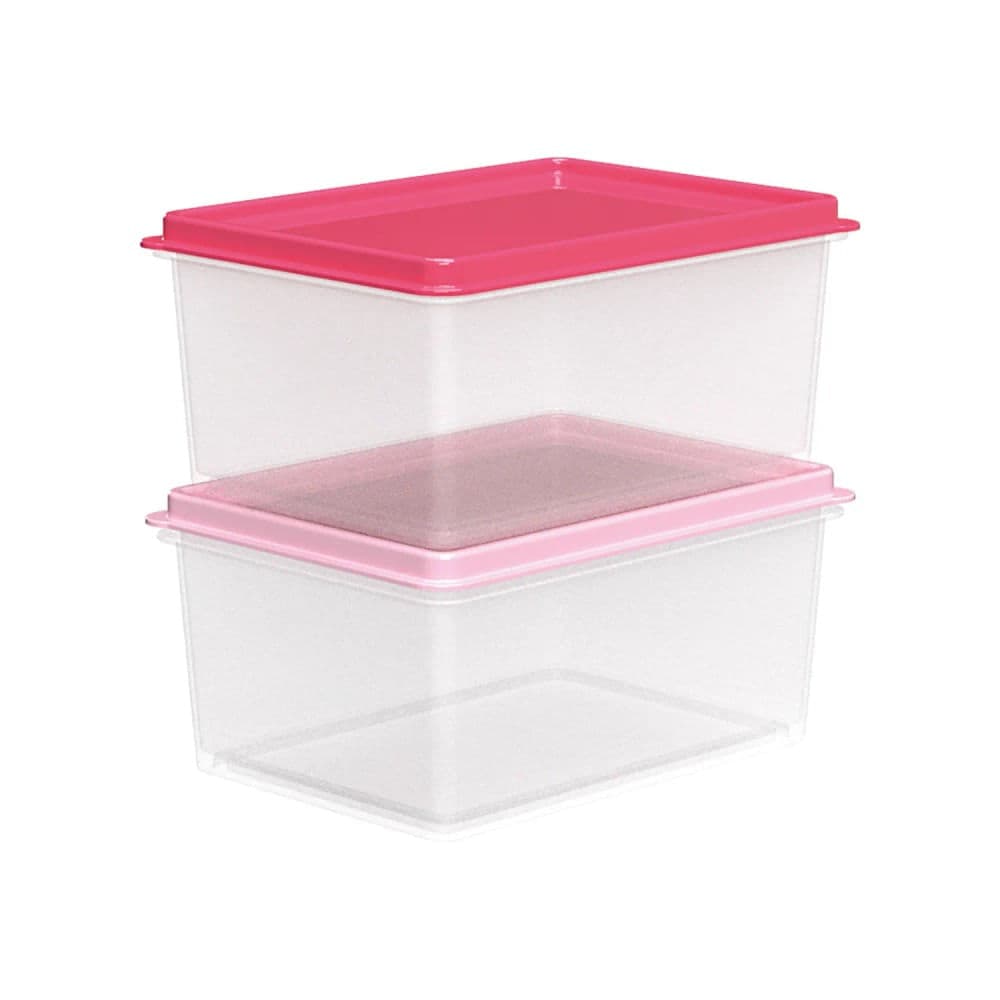 Jogo de Potes Retangular 2 Peças 450mL Rosa - Nitron