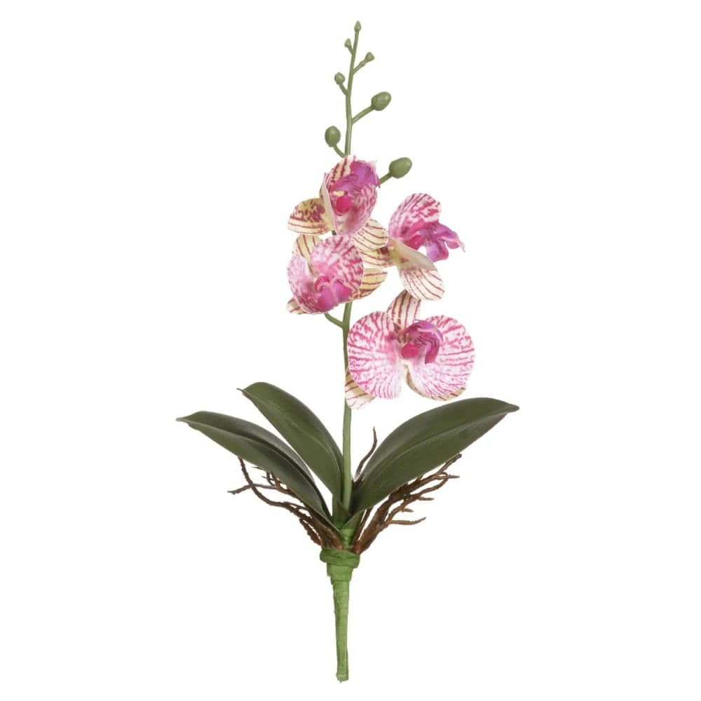 Orquídea Phalaenopsis Artificial Haste 29cm Creme - Florarte