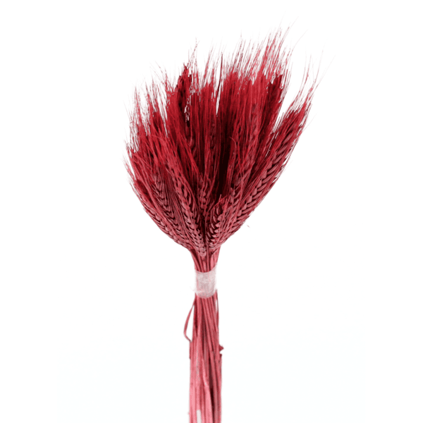 Planta Seca Capim Majestade 12cm Bege