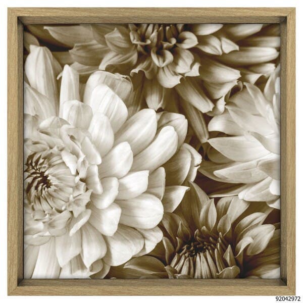 Quadro Crisantemo Bege e Branco com Vidro 40x40cm Tropical