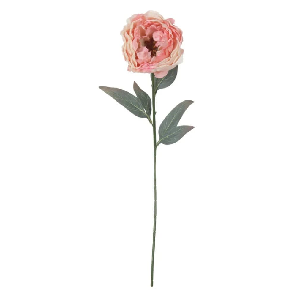 Rosa Cabbage Artificial Haste 64cm - Florarte