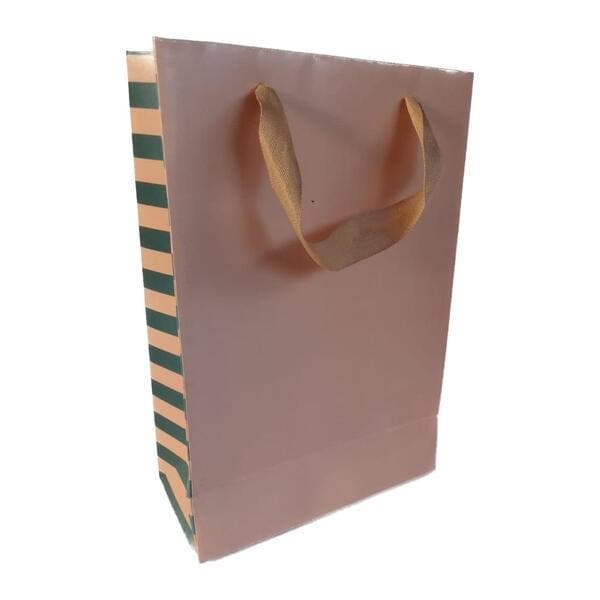 Sacola De Papel Presente Nude Pequena 21X31X10 Target