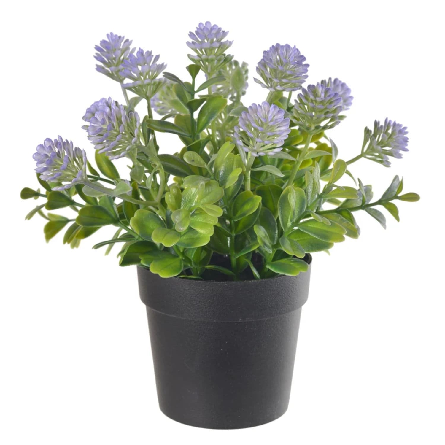 Vaso Sementinha 15x20cm Lavanda - Florarte