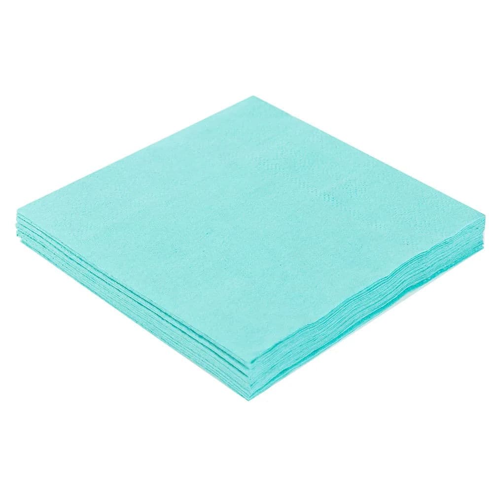 Guardanapo de Papel Folha Dupla 20 Unidades 25cm Verde Água - Silver Plastic