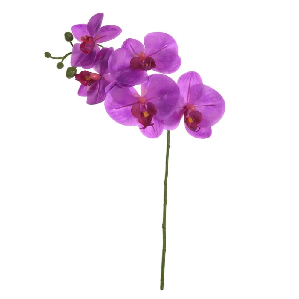Haste Orquídea Phalaenopsis 55cm Fúcsia - Florarte