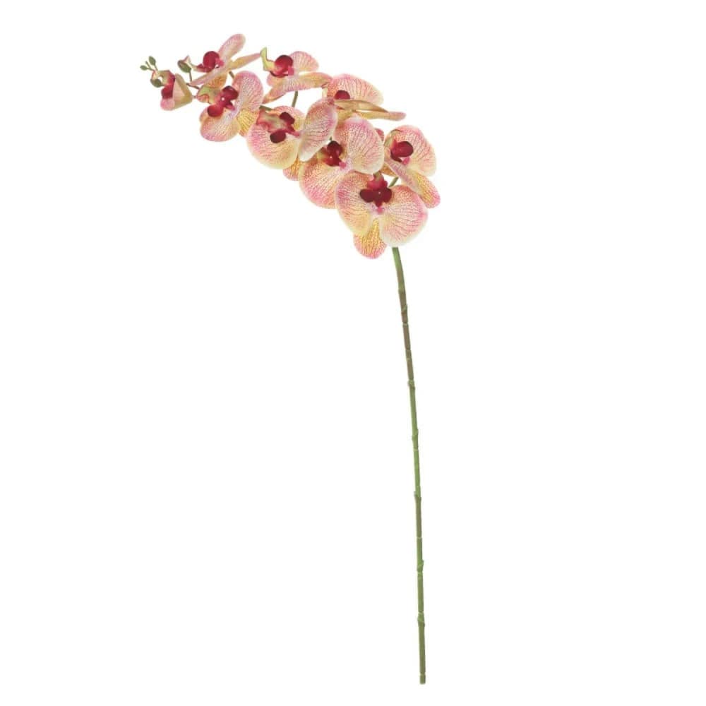 Orquídea Phalaenopsis Artificial 96cm Haste Creme Beauty - Florarte