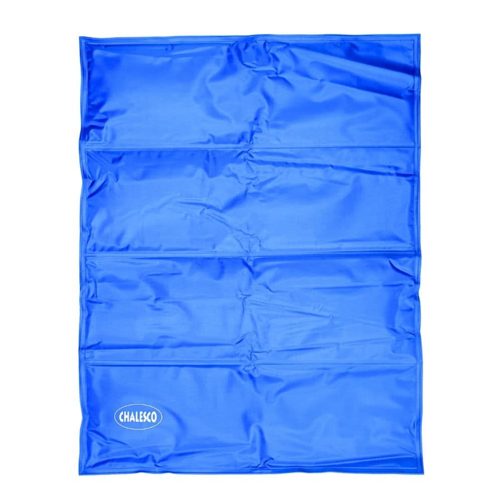 Tapete Gelado para Cães 50x60cm Azul - Chalesco