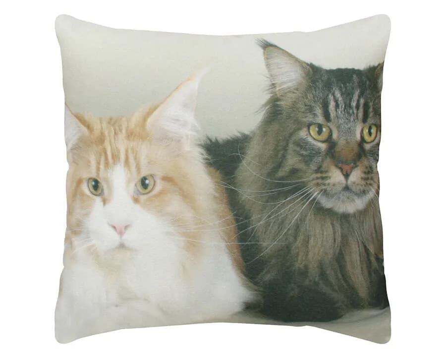 Almofada Decorativa Pet - Cats