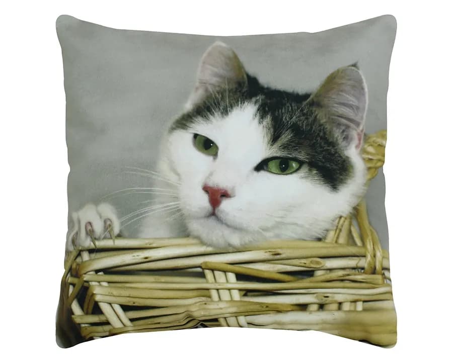 Almofada Decorativa Veludo Pet - Gato No Cesto