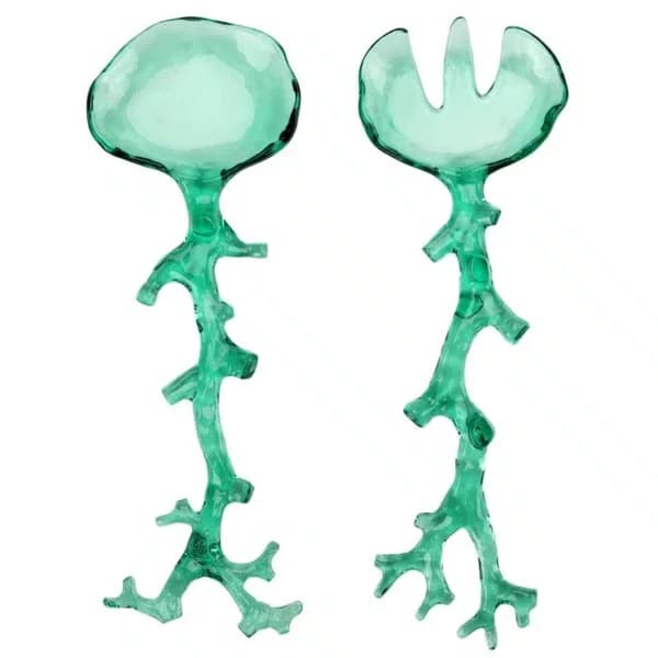 Pegador Salada Acrílico Verde Coral 32x13cm - Entrecasa