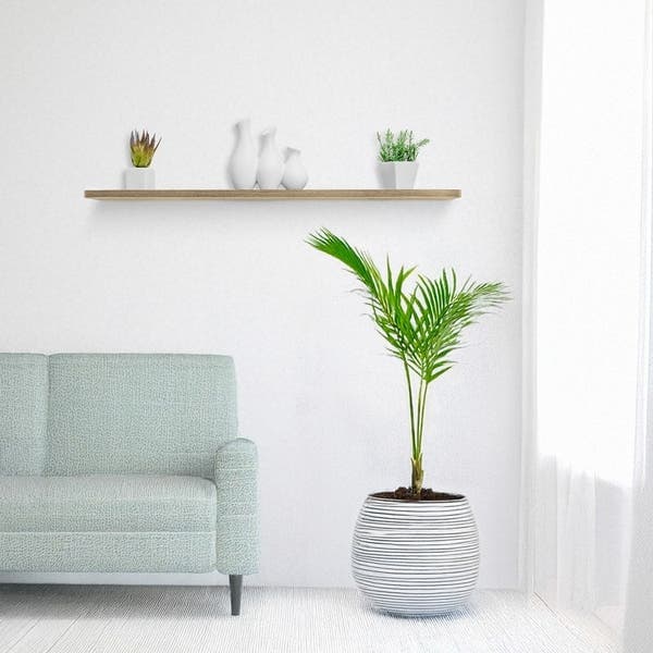 Prateleira de Madeira MDP Marau 120x25cm com Suporte Invisível Bemfixa